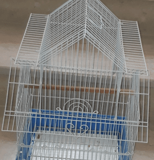 We add a very small bird cage for sale