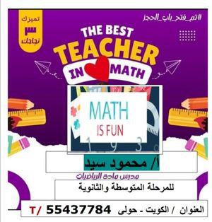 Mathematics teacher for middle and high school levels