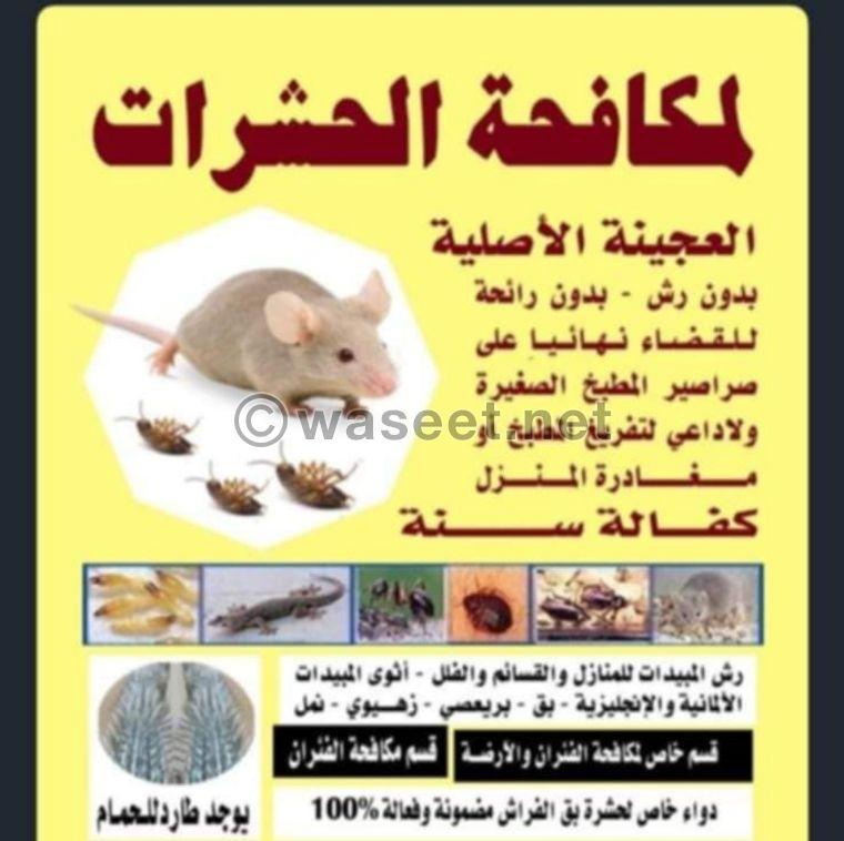 شركة  اضواء الخليج لمكافحة الحشرات 0