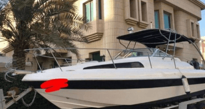 Silver craft cruiser for sale