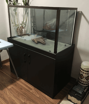 Two meters fish tank for sale