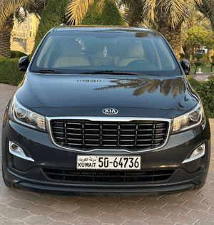 Kia Carnival 2019 model for sale