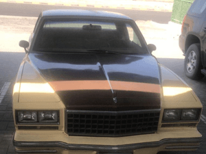 Chevrolet Monte Carlo 1980