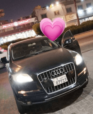 Audi Q7 2007