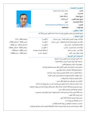 An Egyptian chief accountant asks for a part-time job