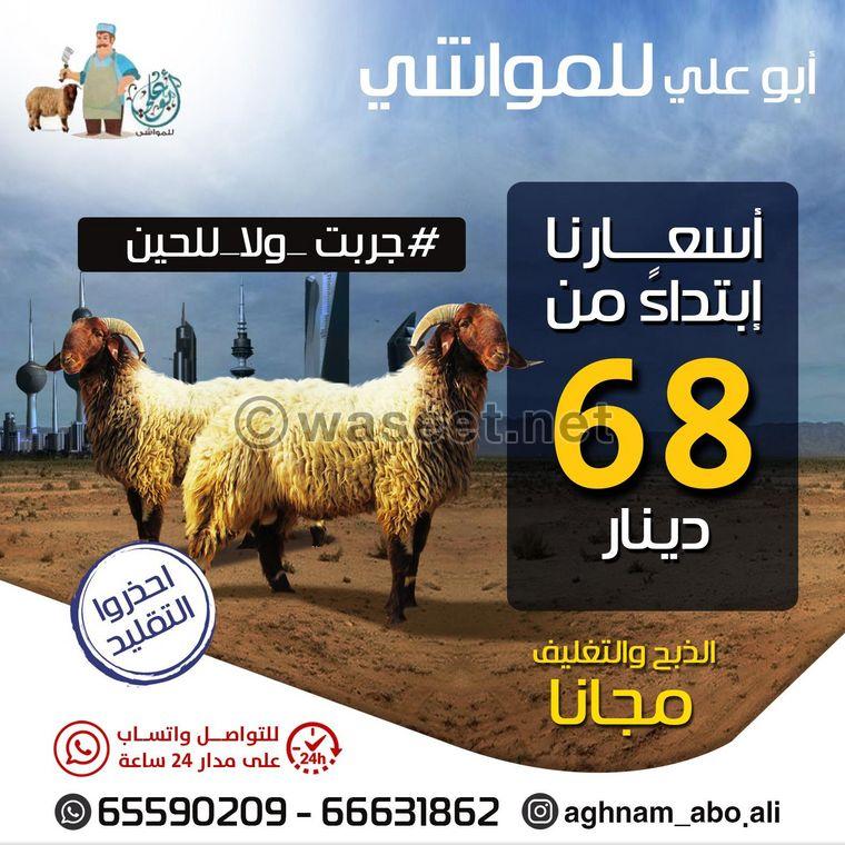 Abu Ali for livestock 0