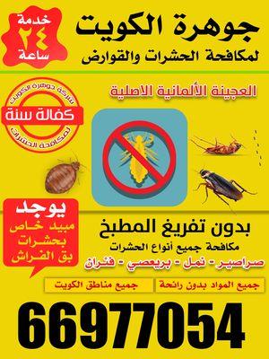 جوهرة الكويت لمكافحة الحشرات
