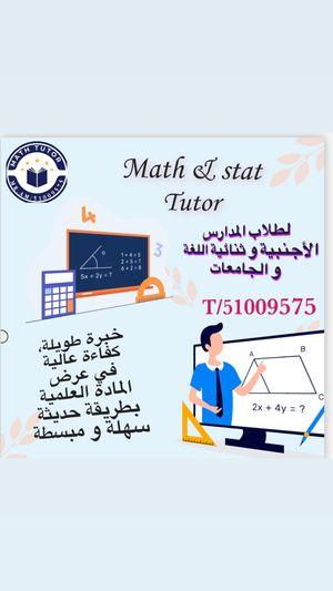 Math and statistics teacher for university and applied students 