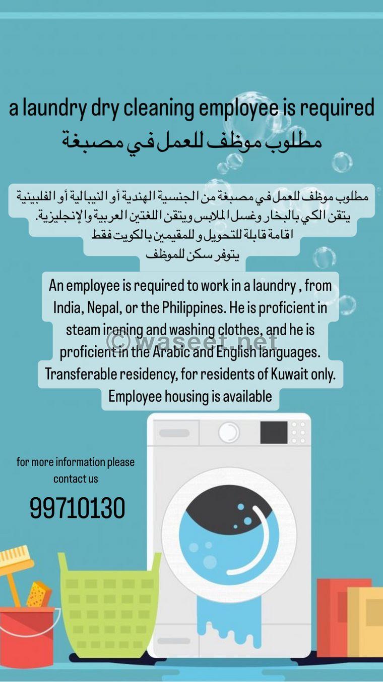 A worker is needed to work in a laundry 0
