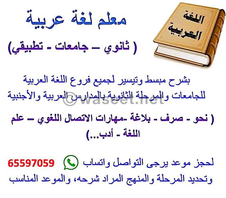 Arabic language teacher for universities 0
