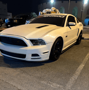 Mustang model 2013