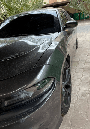  Dodge Charger model 2019 for sale 