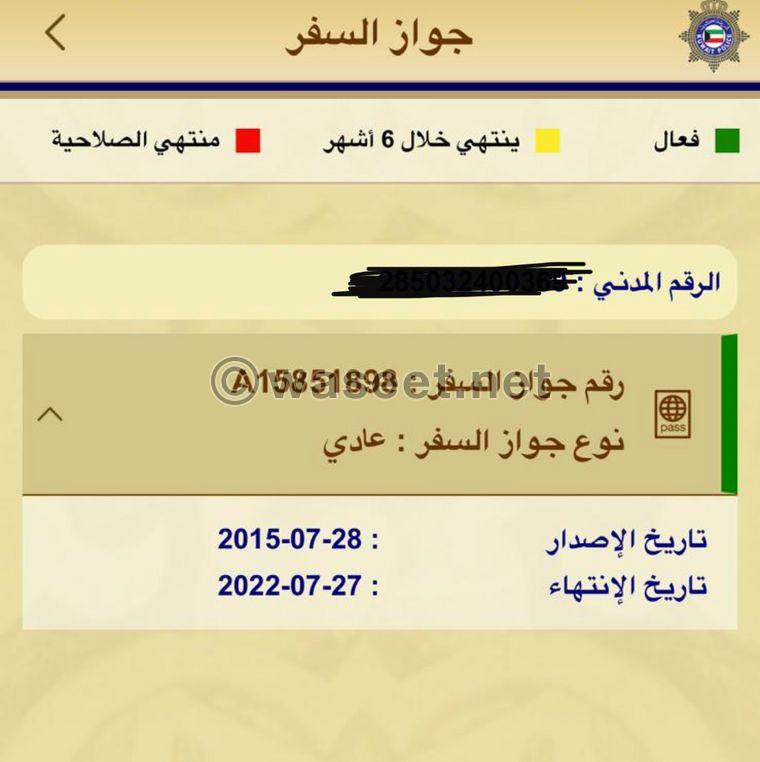 Egyptian passport is missing 1
