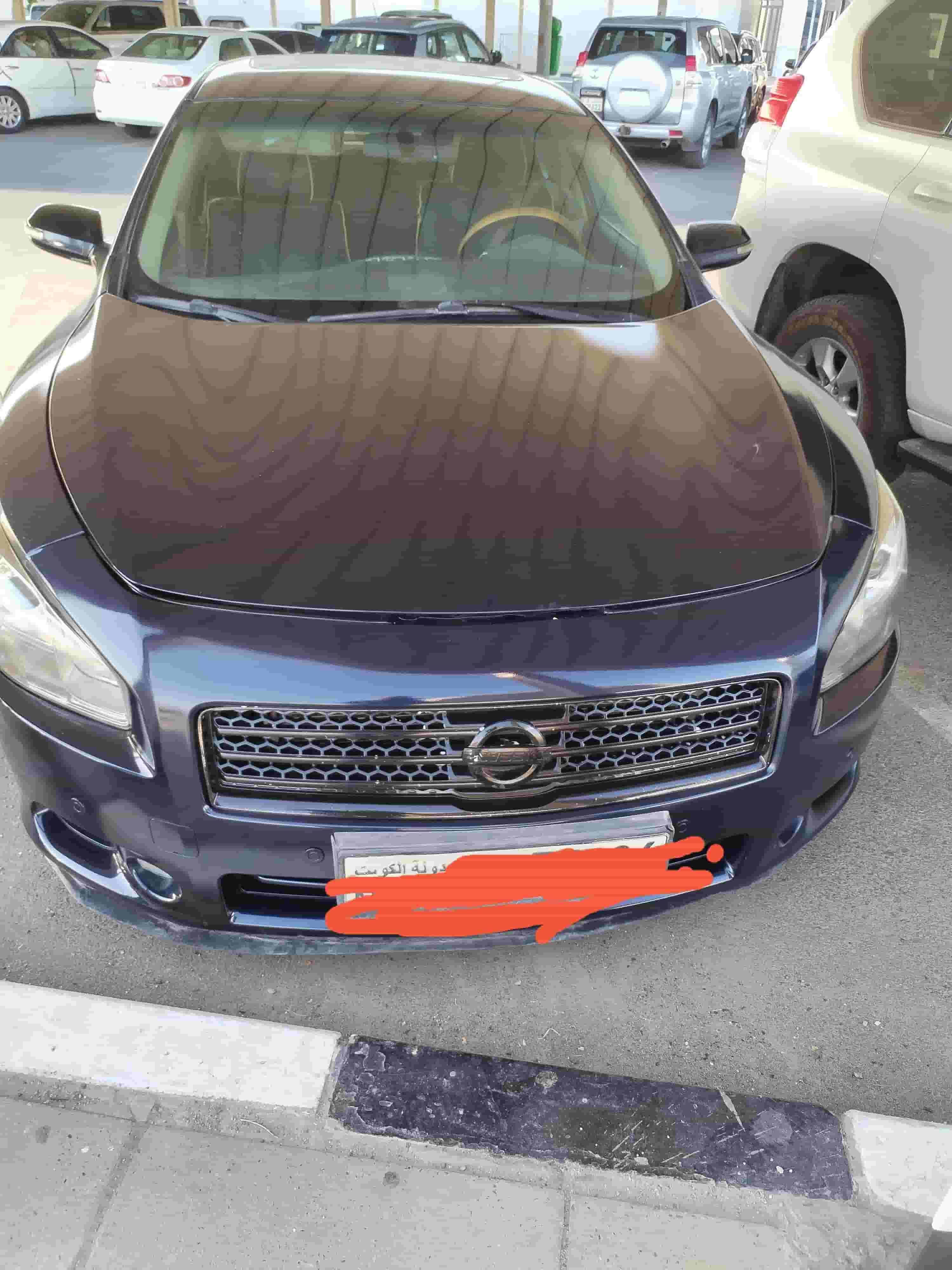 ماكسيما موديل 2013 للبيع ماكسيما موديل 2013 للبيع