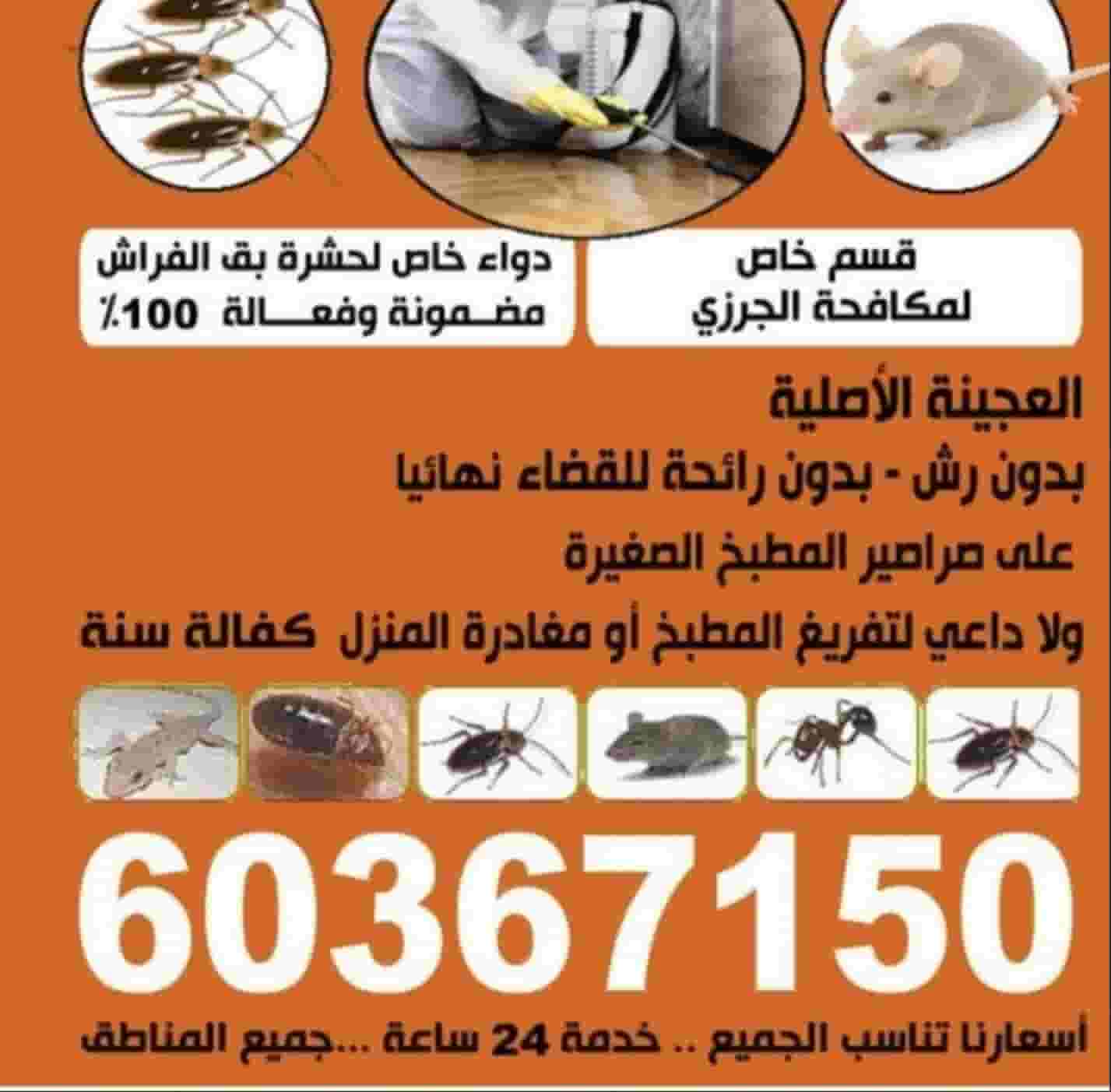 الأماني لمكافحة الحشرات والقوارض الأماني لمكافحة الحشرات والقوارض