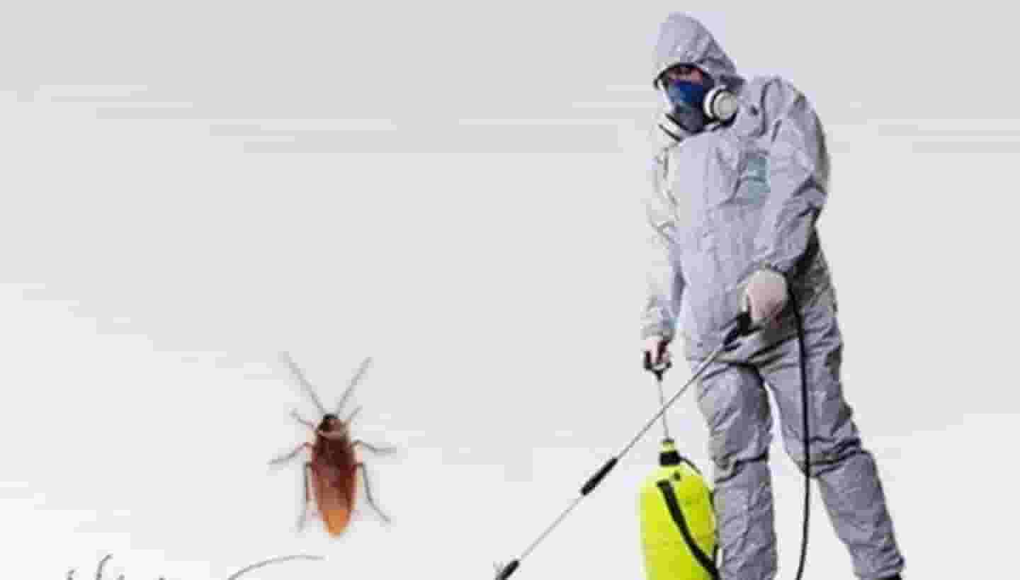 مكافحة الحشرات مكافحة الحشرات