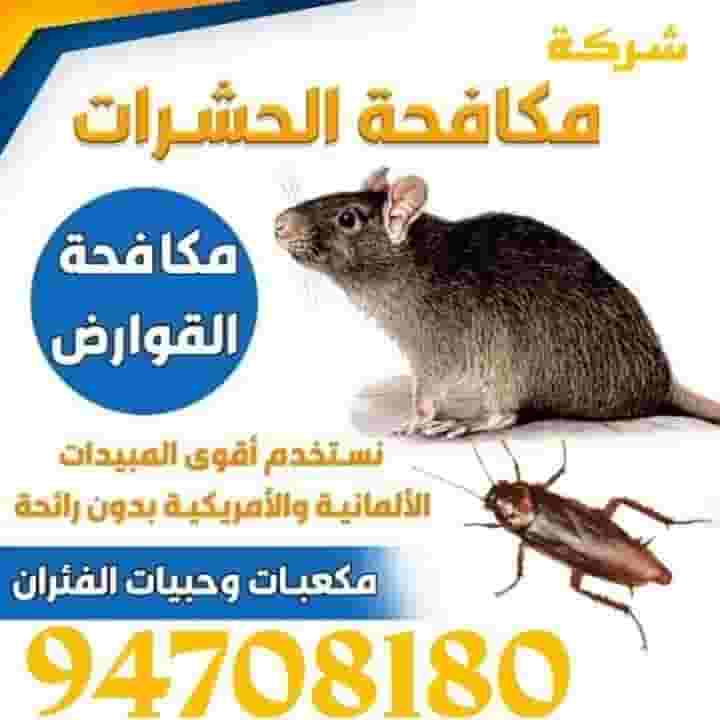 مكافحة حشرات مكافحة حشرات