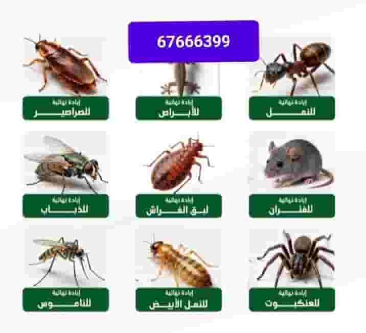 Pest and rodent control Pest and rodent control