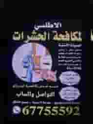 Pest and rodent control inside Kuwait Pest and rodent control inside Kuwait