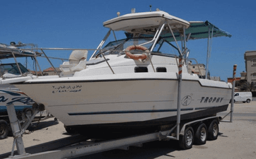 For sale a 25-foot Payliner Trophy boat model 2009